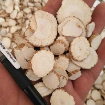 正宗川白芷专注品质产地货源各种调料