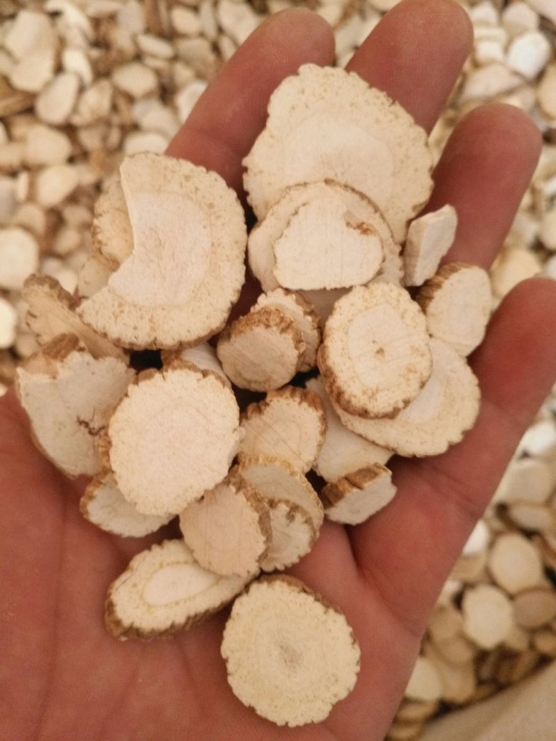 正宗川白芷专注品质产地货源各种调料
