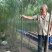 两年生109柳树苗