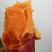 西瓜红大荔产地发货软糯香甜精品红薯对接全国发货