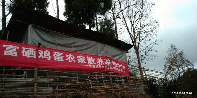 恩施土家富硒鸡