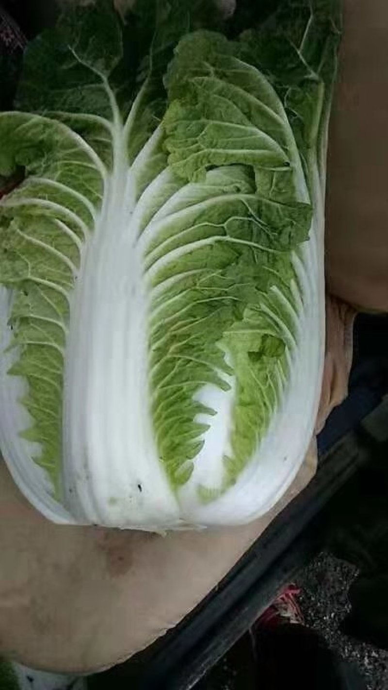 玲珑黄白菜