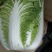 玲珑黄白菜
