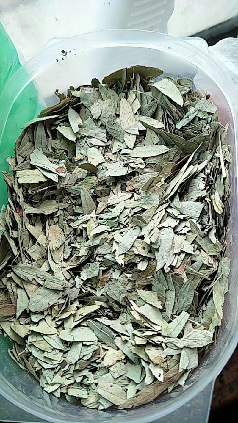 番泻叶泻叶干货农家初选22农副土特产品1234