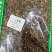 吴茱萸吴茱萸大花农家初选农副土特产品11