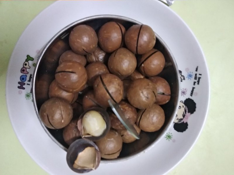 澳洲坚果苗嫁接品种纯，支持到苗圃看货。