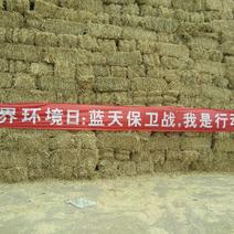 优质小麦秸秆优质牧草全国发货