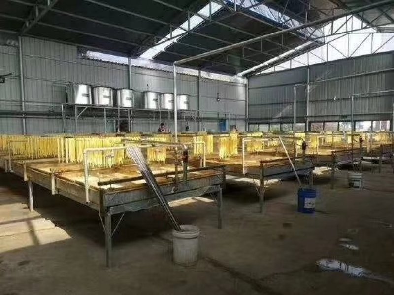山东金盛达油皮机腐竹机，厂家直销，质保一年