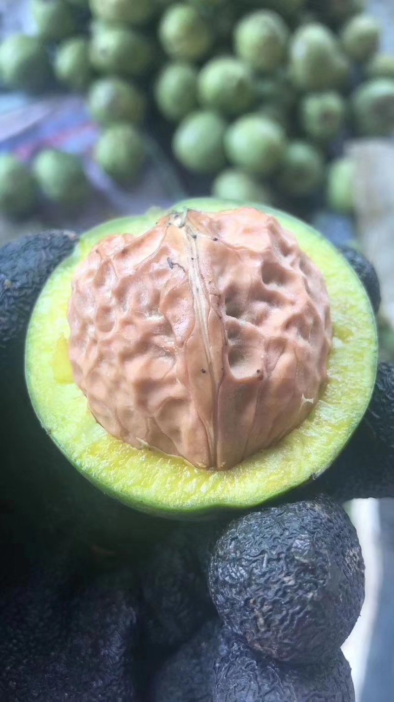 青皮核桃