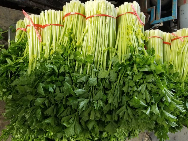 高原夏季精品毛芹大量上市！