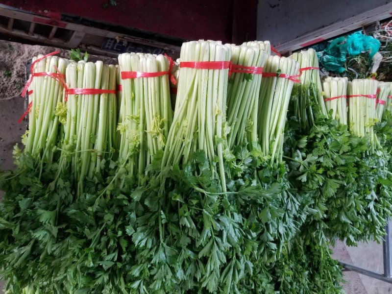 高原夏季精品毛芹大量上市！