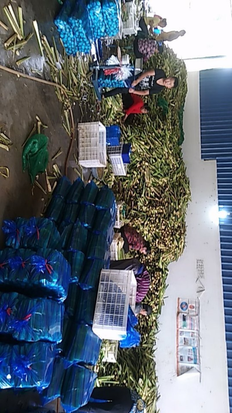 再聚首合作社精品茭白，完整包装，全国发货
