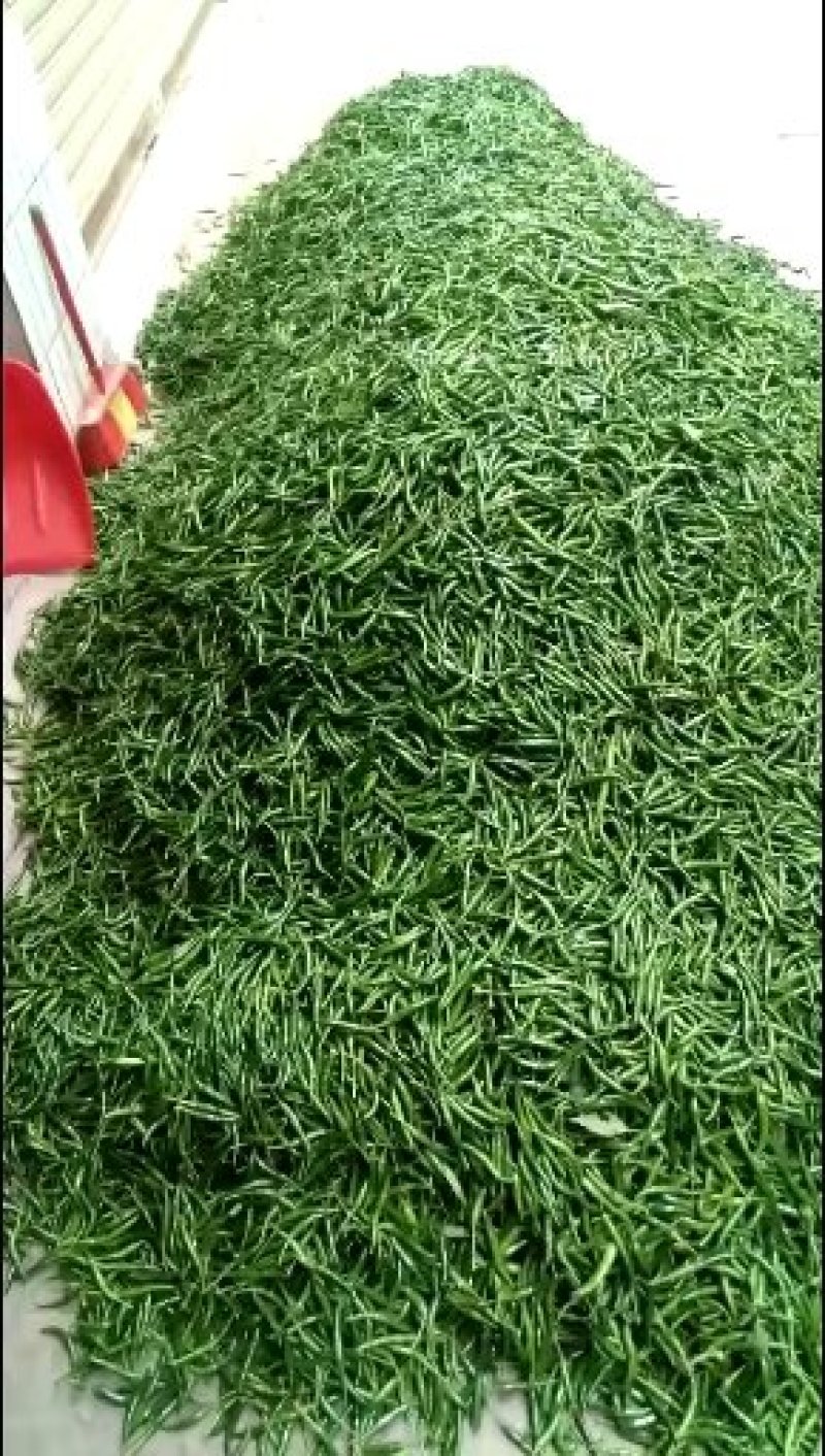 小米辣及青白苦瓜