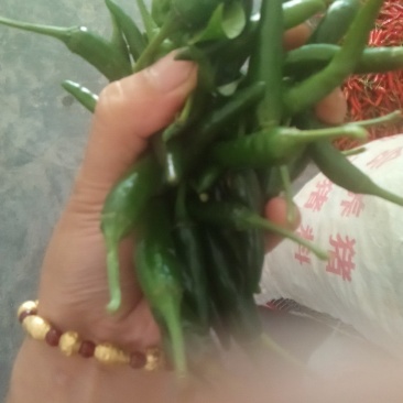 小米辣及青白苦瓜