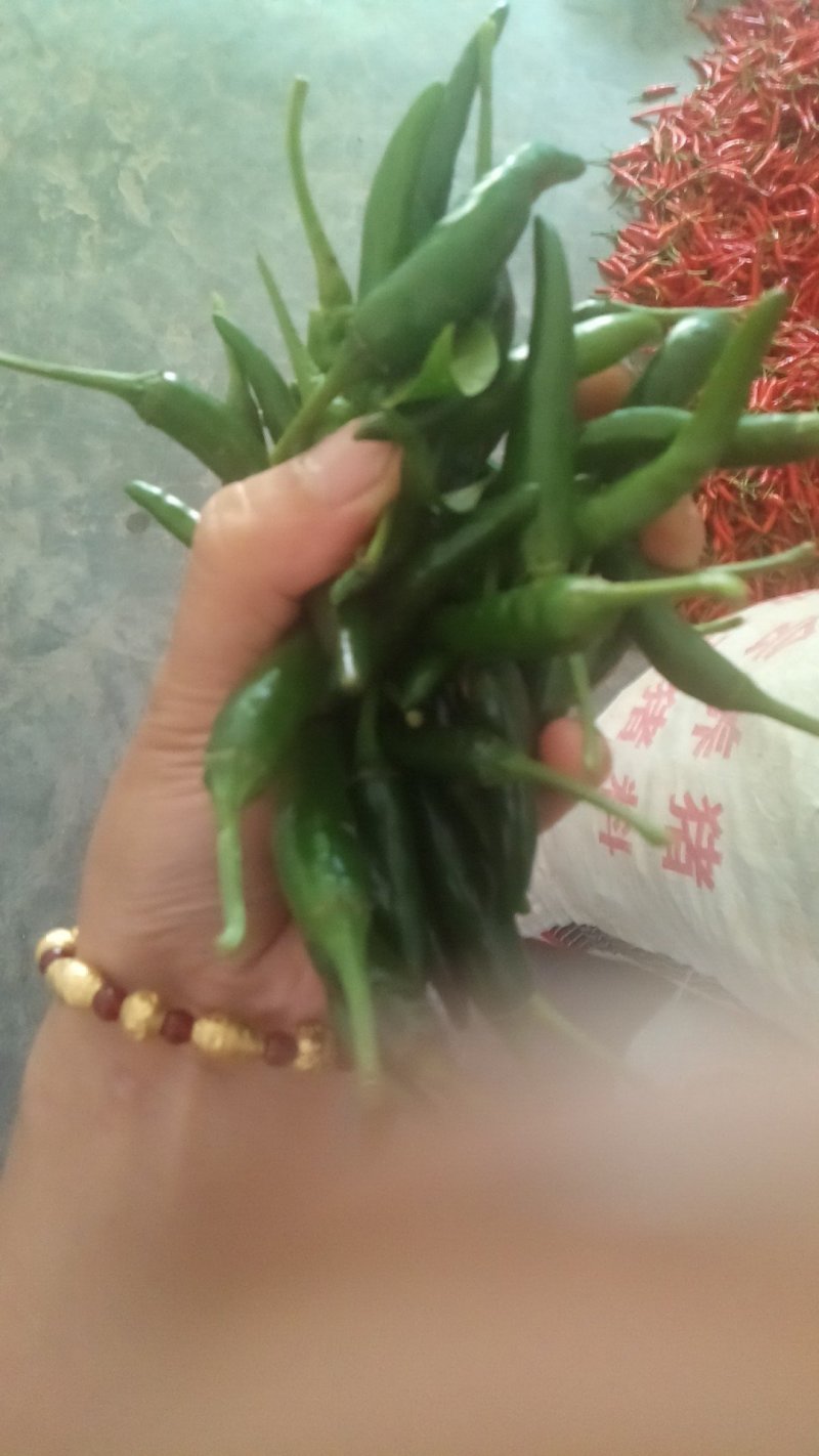 小米辣及青白苦瓜
