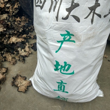 四川木耳黑木耳大木耳火锅木耳20包起
