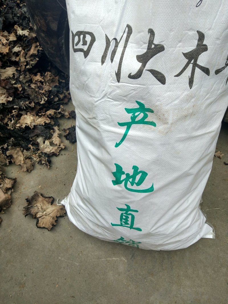 四川木耳黑木耳大木耳火锅木耳20包起