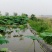 厂家直销土工膜防渗膜，规格全，鱼池防渗膜，藕池膜，虾池膜