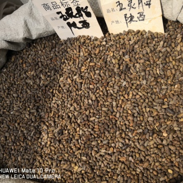 五灵脂纯货大粒选货中药材用散装量大从优