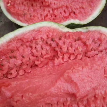 硒砂瓜