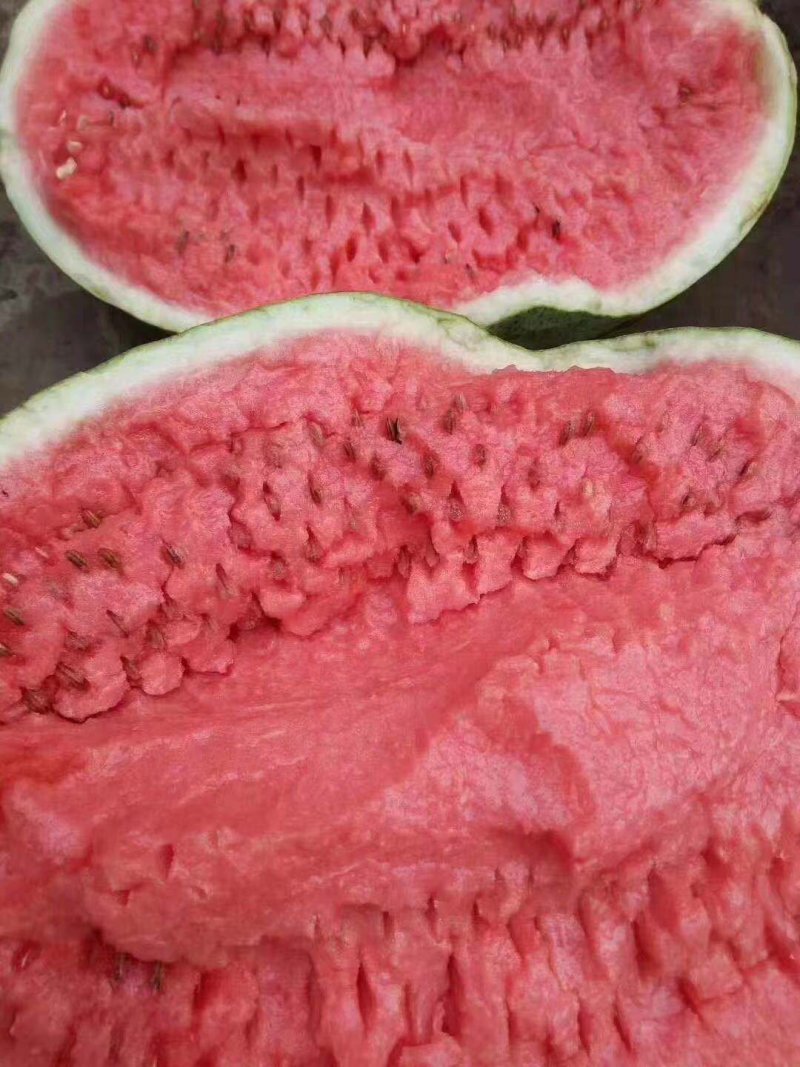 硒砂瓜