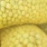 青枣八月2号到15号大量供应