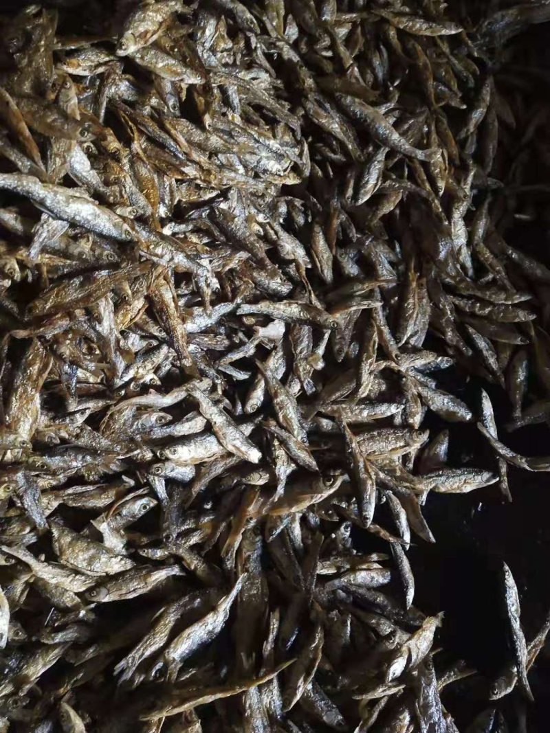 烤淡公干鱼（一手货源）不苦。油炸的。烟熏的都有