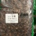 连翘贯叶连翘大田基小瞿麦排草排香草小对叶草小金雀