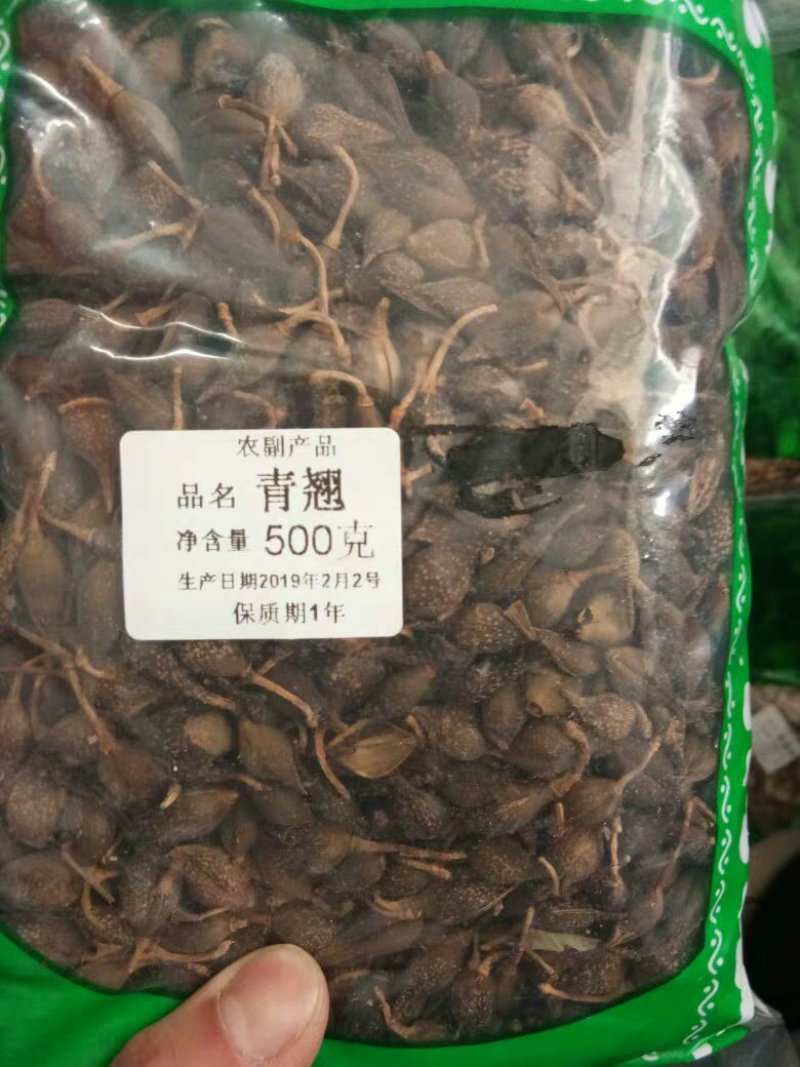连翘贯叶连翘大田基小瞿麦排草排香草小对叶草小金雀