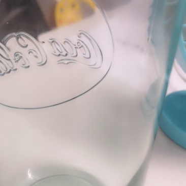 大蒜