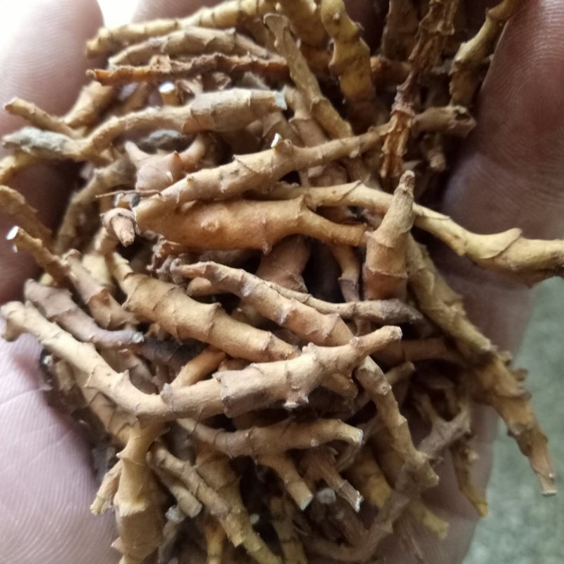 九节菖蒲，秦岭山上野生货，野生菖蒲，干净无杂质，全干货