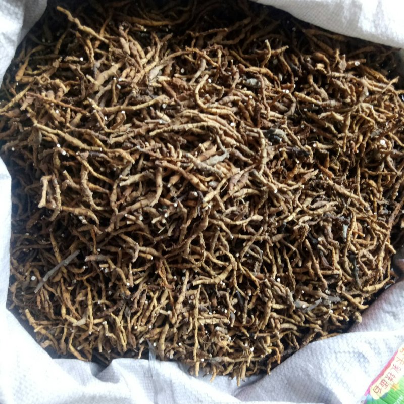 九节菖蒲，秦岭山上野生货，野生菖蒲，干净无杂质，全干货