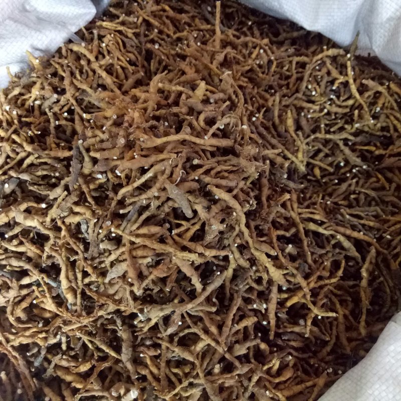 九节菖蒲，秦岭山上野生货，野生菖蒲，干净无杂质，全干货