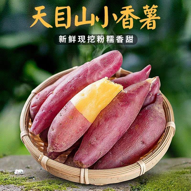 正宗临安天目小香薯薯番薯地瓜红薯3斤5斤