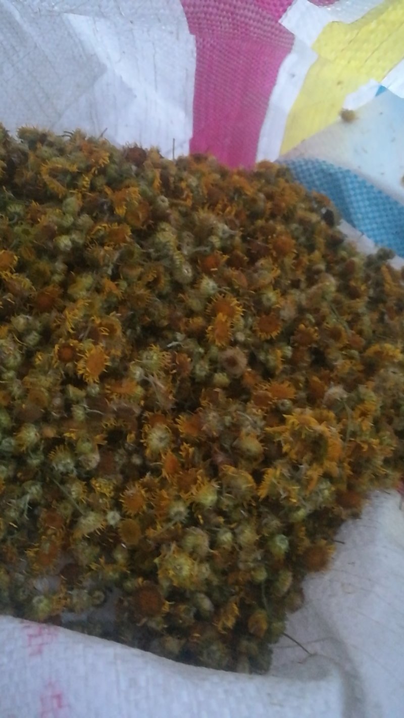 旋覆花六月菊够含量饮片级有货