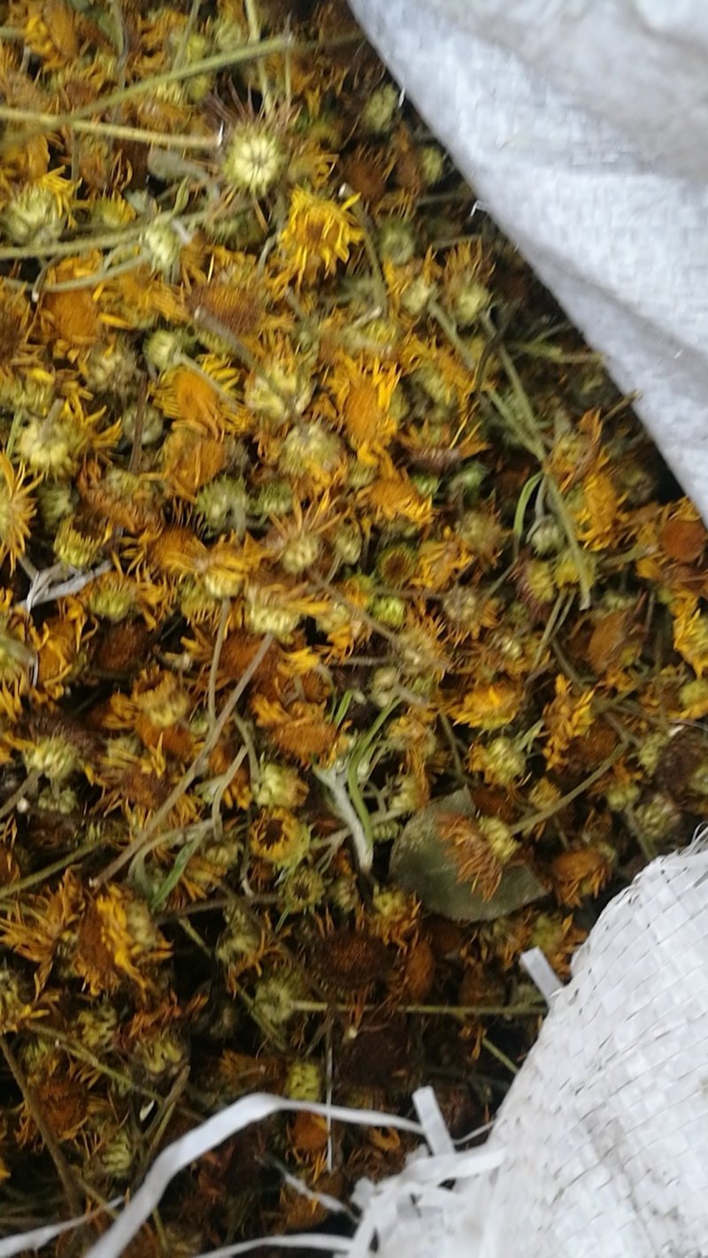 旋覆花六月菊够含量饮片级有货
