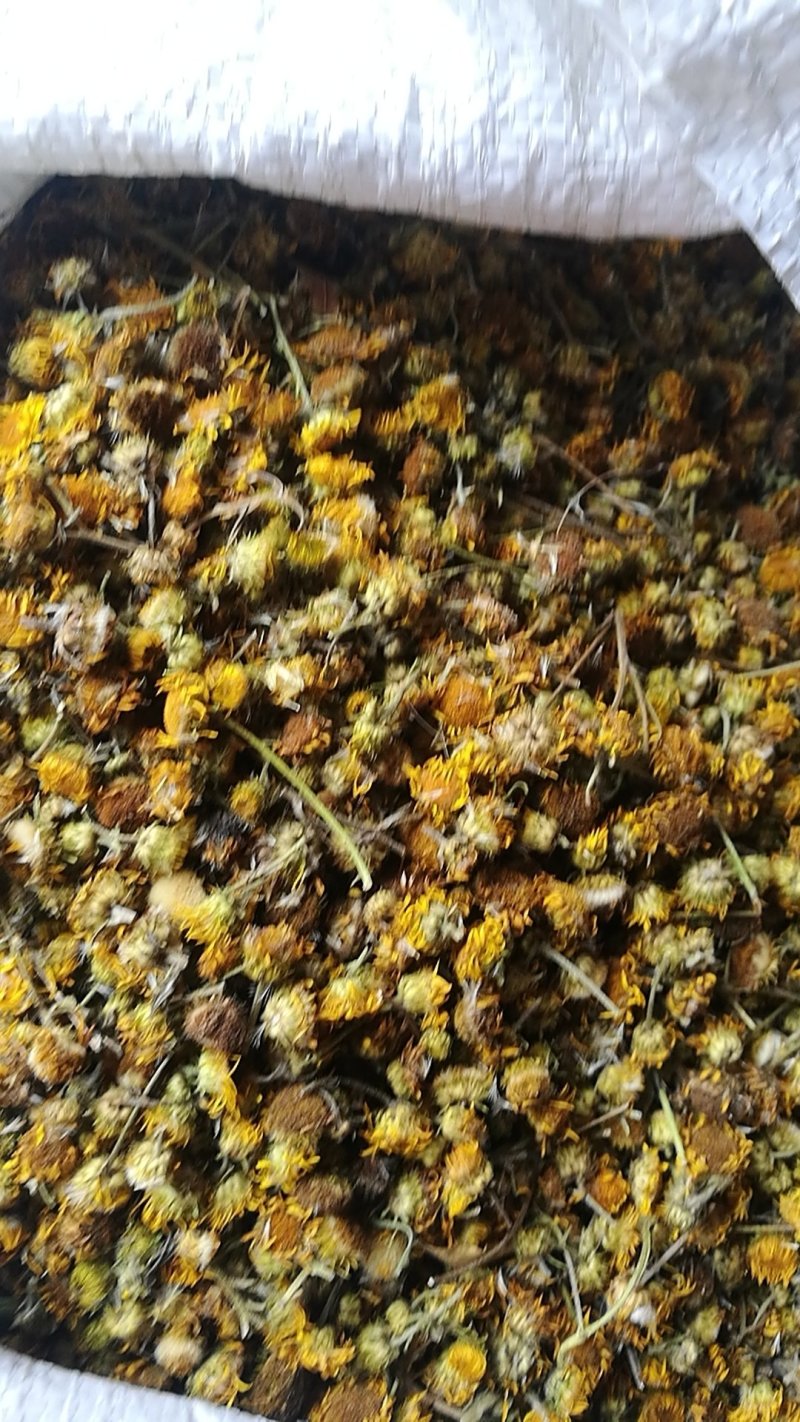 旋覆花六月菊够含量饮片级有货