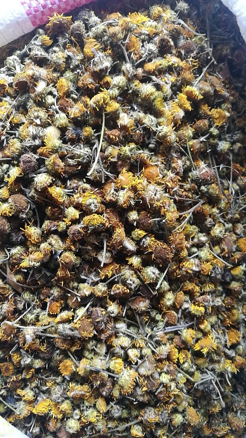 旋覆花六月菊够含量饮片级有货