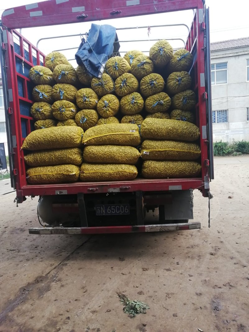 售鲜花生，颜色鲜亮，口感细腻，产地直销，提供加工包装服