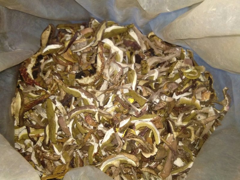 牛肝菌美味牛肝菌
