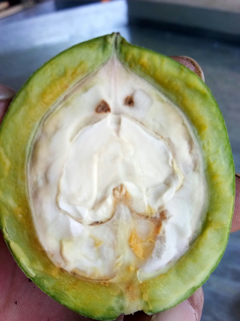 核桃大量上市，需要的联系我。