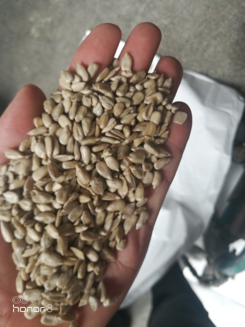 油葵仁，榨油葵仁食品厂加工食品添加专用！所有商品不包邮！