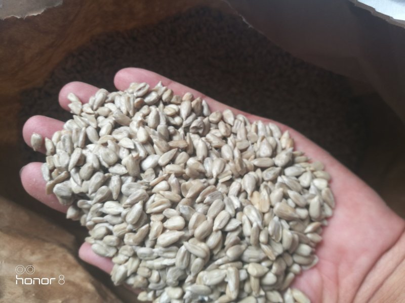 油葵仁，榨油葵仁食品厂加工食品添加专用！所有商品不包邮！