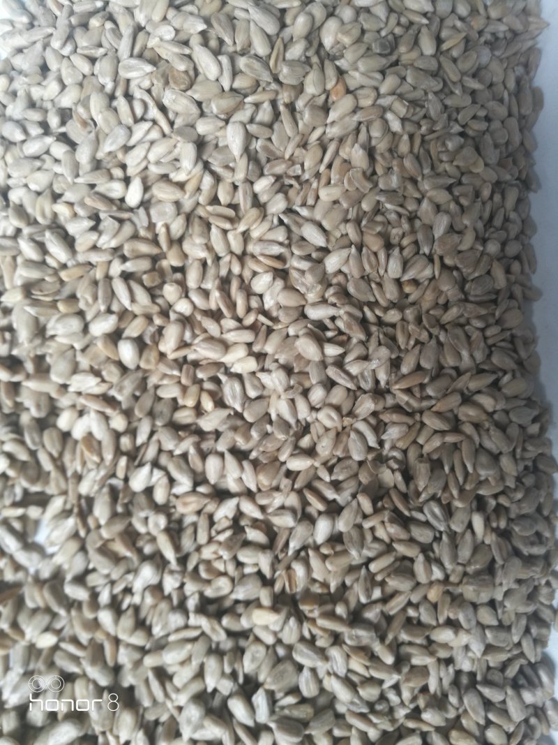 油葵仁，榨油葵仁食品厂加工食品添加专用！所有商品不包邮！