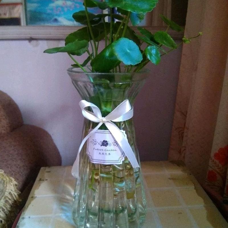 欧式玻璃花瓶创意简约透明水培绿萝植物干花瓶客厅插花桌面摆