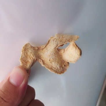干姜片，云南小粉姜，过筛选货无硫