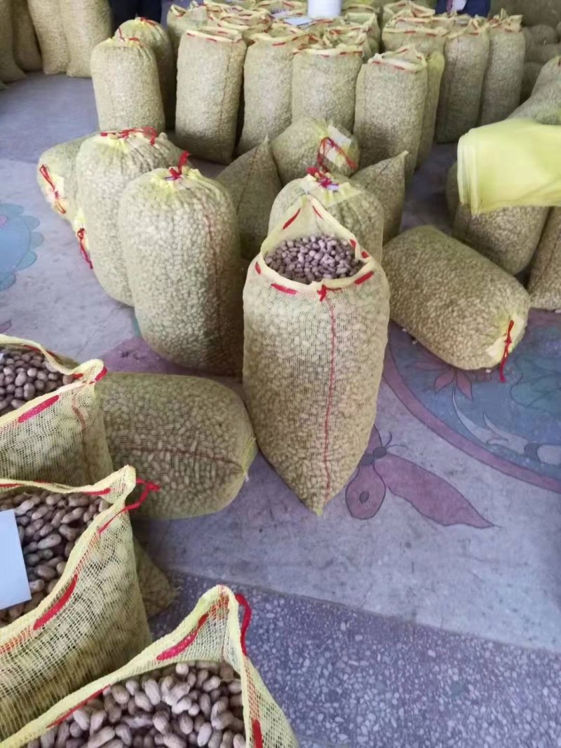 湖北襄阳鲜花生、小白沙、罗汉果、颗粒饱、热销中大量供应