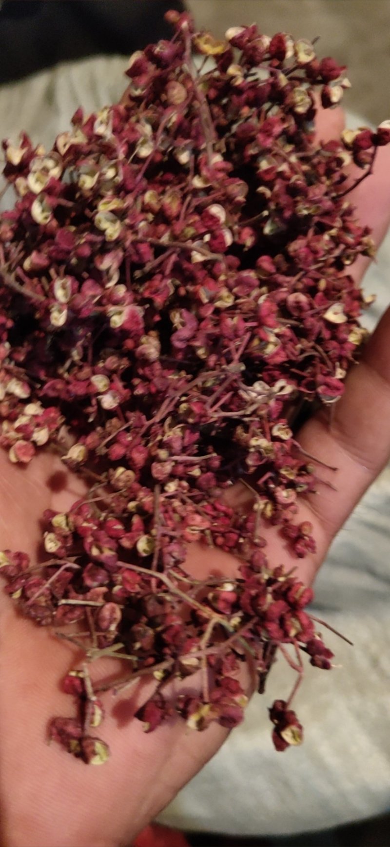 花椒之家