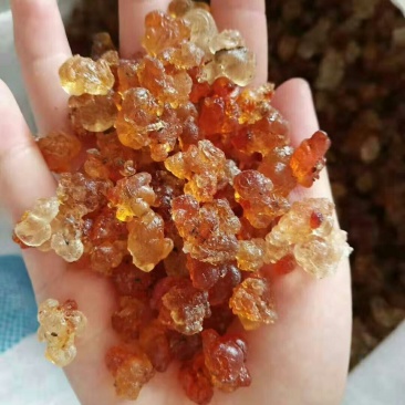 水洗精品颗粒胶黄胶红胶桃树胶