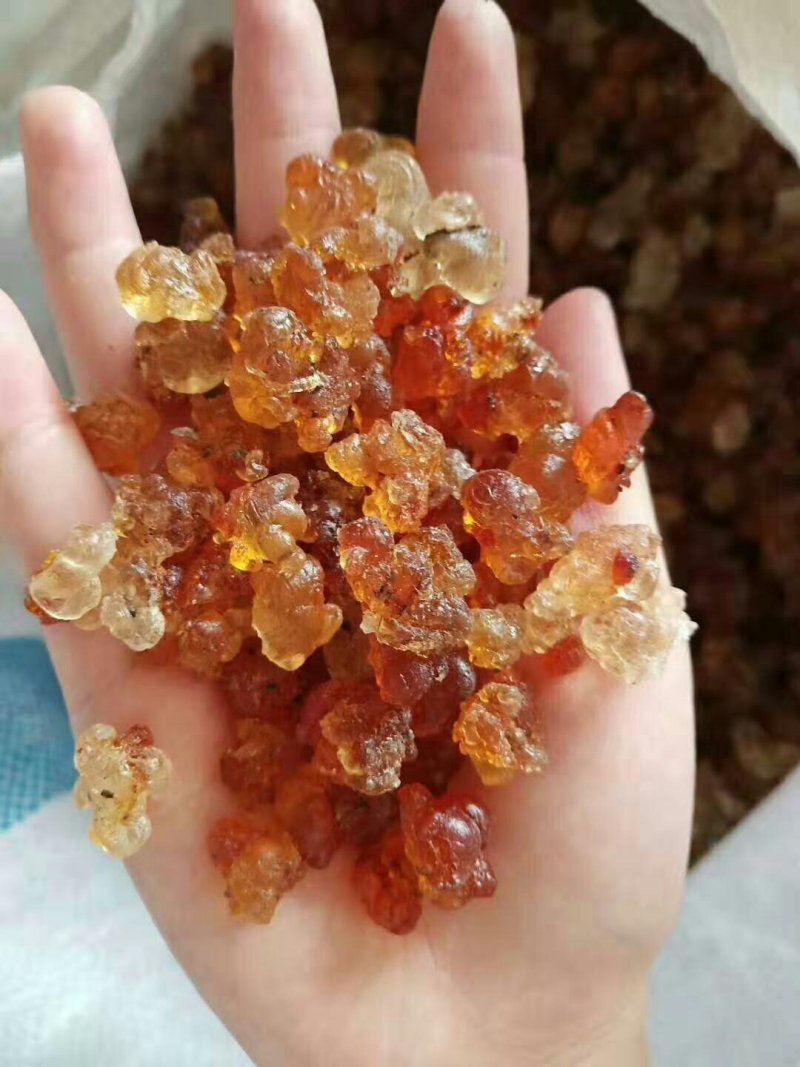 水洗精品颗粒胶黄胶红胶桃树胶